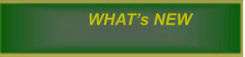 WHAT�s NEW